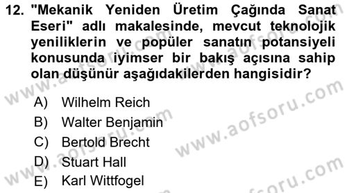 Modern Sosyoloji Tarihi Dersi 2018 - 2019 Yılı Yaz Okulu Sınav Soruları 12. Soru