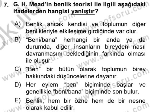 Modern Sosyoloji Tarihi Dersi 2018 - 2019 Yılı Yaz Okulu Sınav Soruları 7. Soru