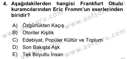 Modern Sosyoloji Tarihi Dersi 2020 - 2021 Yılı Yaz Okulu Sınav Soruları 4. Soru
