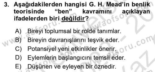 Modern Sosyoloji Tarihi Dersi 2022 - 2023 Yılı Yaz Okulu Sınav Soruları 3. Soru