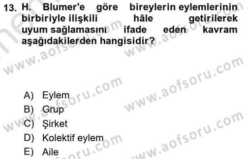 Modern Sosyoloji Tarihi Dersi 2023 - 2024 Yılı (Vize) Ara Sınav Soruları 13. Soru