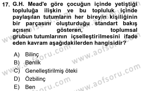 Modern Sosyoloji Tarihi Dersi 2023 - 2024 Yılı (Vize) Ara Sınav Soruları 17. Soru