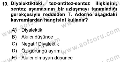 Modern Sosyoloji Tarihi Dersi 2023 - 2024 Yılı (Final) Dönem Sonu Sınav Soruları 19. Soru