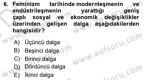 Modern Sosyoloji Tarihi Dersi 2023 - 2024 Yılı (Final) Dönem Sonu Sınav Soruları 6. Soru