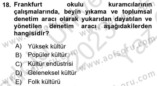 Modern Sosyoloji Tarihi Dersi 2023 - 2024 Yılı Yaz Okulu Sınav Soruları 18. Soru