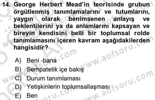 Modern Sosyoloji Tarihi Dersi 2024 - 2025 Yılı (Vize) Ara Sınav Soruları 14. Soru