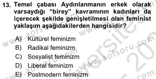 Modern Sosyoloji Tarihi Dersi 2024 - 2025 Yılı (Final) Dönem Sonu Sınav Soruları 13. Soru