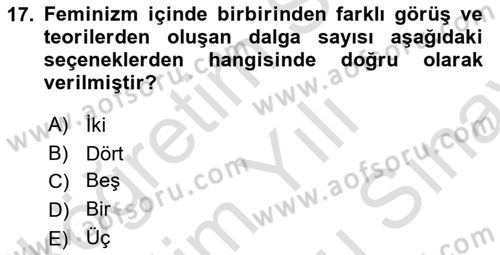 Modern Sosyoloji Tarihi Dersi 2024 - 2025 Yılı (Final) Dönem Sonu Sınav Soruları 17. Soru