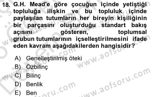Modern Sosyoloji Tarihi Dersi 2024 - 2025 Yılı (Final) Dönem Sonu Sınav Soruları 18. Soru