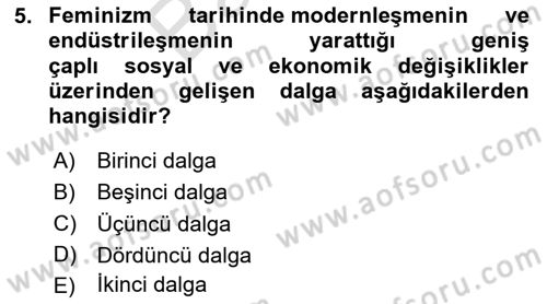 Modern Sosyoloji Tarihi Dersi 2024 - 2025 Yılı (Final) Dönem Sonu Sınav Soruları 5. Soru