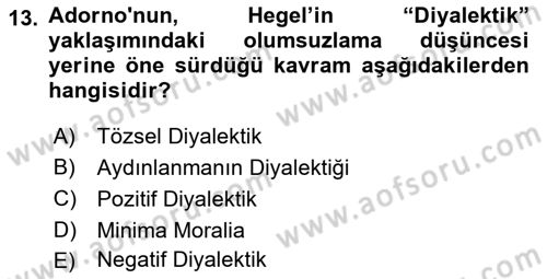 Modern Sosyoloji Tarihi Dersi 2024 - 2025 Yılı Yaz Okulu Sınav Soruları 13. Soru