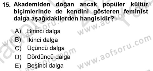 Modern Sosyoloji Tarihi Dersi 2024 - 2025 Yılı Yaz Okulu Sınav Soruları 15. Soru