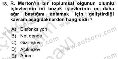 Modern Sosyoloji Tarihi Dersi 2024 - 2025 Yılı Yaz Okulu Sınav Soruları 18. Soru