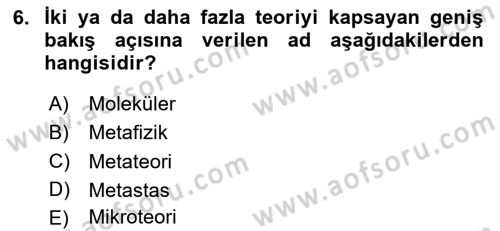 Modern Sosyoloji Tarihi Dersi 2024 - 2025 Yılı Yaz Okulu Sınav Soruları 6. Soru
