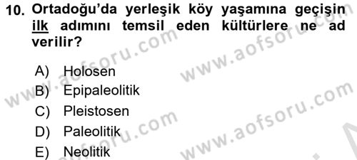 Antropoloji Dersi 2018 - 2019 Yılı 3 Ders Sınavı 10. Soru