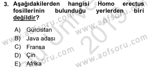 Antropoloji Dersi 2018 - 2019 Yılı 3 Ders Sınavı 3. Soru