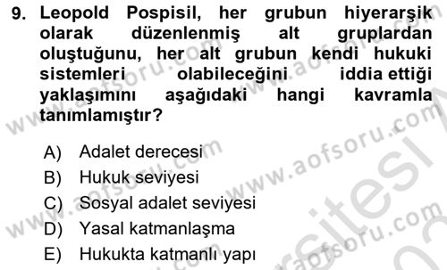 Antropoloji Dersi 2022 - 2023 Yılı Yaz Okulu Sınavı 9. Soru