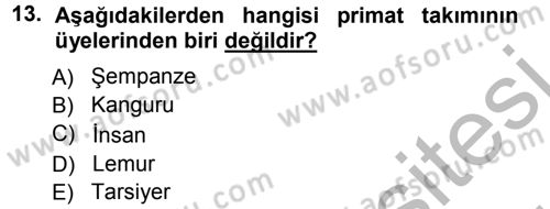 Sosyal Antropoloji Dersi Ara Sınavı Deneme Sınav Soruları 13. Soru