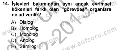Sosyal Antropoloji Dersi Ara Sınavı Deneme Sınav Soruları 14. Soru
