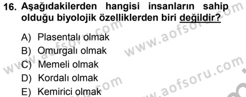 Sosyal Antropoloji Dersi 2012 - 2013 Yılı (Vize) Ara Sınav Soruları 16. Soru