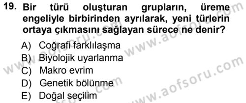Sosyal Antropoloji Dersi 2012 - 2013 Yılı (Vize) Ara Sınav Soruları 19. Soru