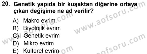 Sosyal Antropoloji Dersi Ara Sınavı Deneme Sınav Soruları 20. Soru