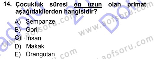 Sosyal Antropoloji Dersi 2012 - 2013 Yılı (Final) Dönem Sonu Sınav Soruları 14. Soru