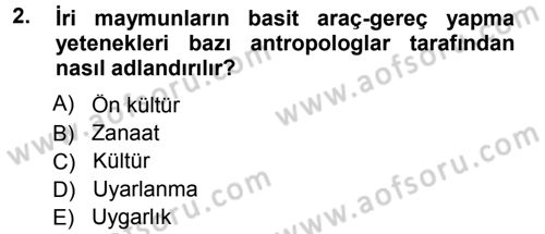 Sosyal Antropoloji Dersi 2012 - 2013 Yılı (Final) Dönem Sonu Sınav Soruları 2. Soru