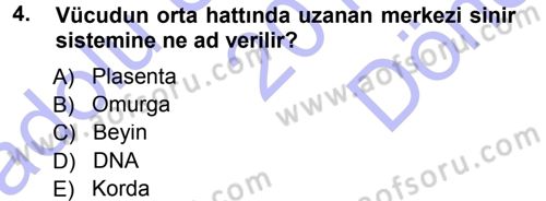 Sosyal Antropoloji Dersi 2012 - 2013 Yılı (Final) Dönem Sonu Sınav Soruları 4. Soru