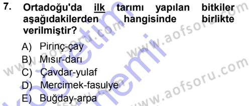 Sosyal Antropoloji Dersi 2012 - 2013 Yılı (Final) Dönem Sonu Sınav Soruları 7. Soru