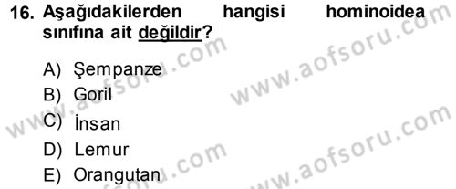 Sosyal Antropoloji Dersi 2013 - 2014 Yılı (Vize) Ara Sınav Soruları 16. Soru