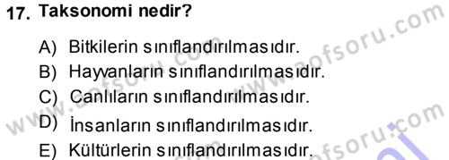 Sosyal Antropoloji Dersi Ara Sınavı Deneme Sınav Soruları 17. Soru