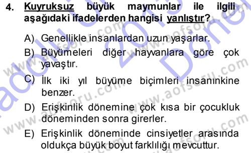 Sosyal Antropoloji Dersi 2013 - 2014 Yılı (Final) Dönem Sonu Sınav Soruları 4. Soru