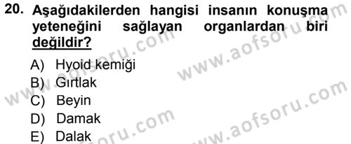 Sosyal Antropoloji Dersi 2013 - 2014 Yılı Tek Ders Sınav Soruları 20. Soru