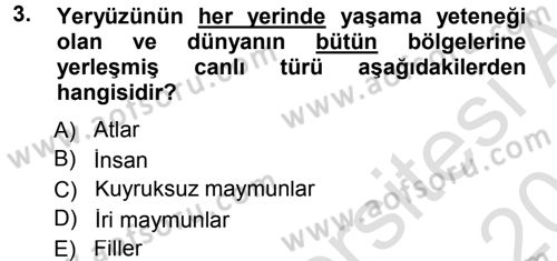 Sosyal Antropoloji Dersi 2013 - 2014 Yılı Tek Ders Sınav Soruları 3. Soru
