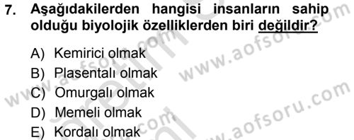 Sosyal Antropoloji Dersi 2013 - 2014 Yılı Tek Ders Sınav Soruları 7. Soru