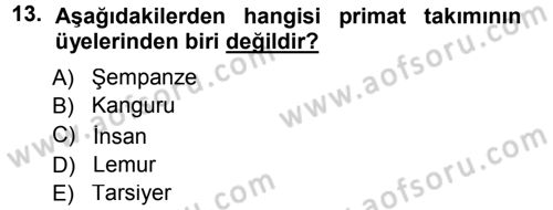 Sosyal Antropoloji Dersi Ara Sınavı Deneme Sınav Soruları 13. Soru