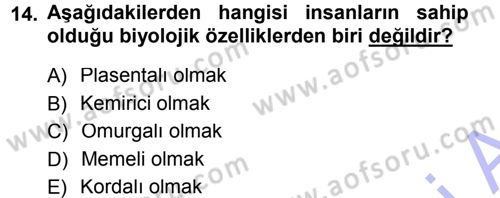 Sosyal Antropoloji Dersi 2014 - 2015 Yılı (Vize) Ara Sınav Soruları 14. Soru