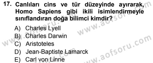 Sosyal Antropoloji Dersi Ara Sınavı Deneme Sınav Soruları 17. Soru