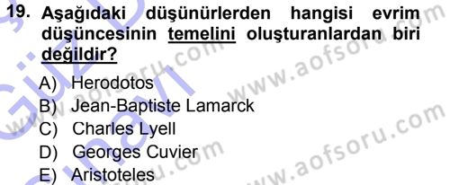 Sosyal Antropoloji Dersi Ara Sınavı Deneme Sınav Soruları 19. Soru