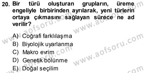 Sosyal Antropoloji Dersi Ara Sınavı Deneme Sınav Soruları 20. Soru