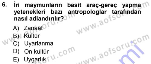 Sosyal Antropoloji Dersi 2014 - 2015 Yılı (Vize) Ara Sınav Soruları 6. Soru