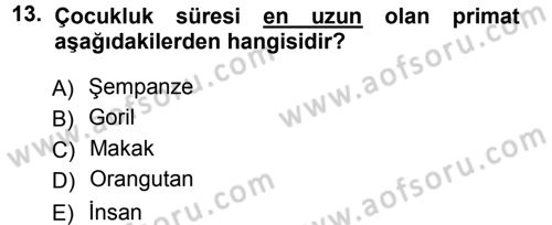 Sosyal Antropoloji Dersi 2014 - 2015 Yılı (Final) Dönem Sonu Sınav Soruları 13. Soru