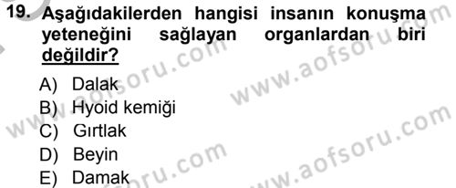 Sosyal Antropoloji Dersi 2014 - 2015 Yılı (Final) Dönem Sonu Sınav Soruları 19. Soru