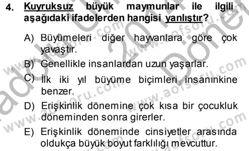 Sosyal Antropoloji Dersi 2014 - 2015 Yılı (Final) Dönem Sonu Sınav Soruları 4. Soru