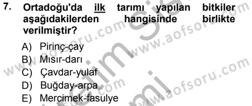 Sosyal Antropoloji Dersi 2014 - 2015 Yılı (Final) Dönem Sonu Sınav Soruları 7. Soru