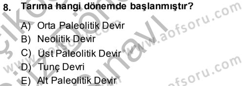 Sosyal Antropoloji Dersi 2014 - 2015 Yılı (Final) Dönem Sonu Sınav Soruları 8. Soru