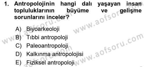 Sosyal Antropoloji Dersi Ara Sınavı Deneme Sınav Soruları 1. Soru