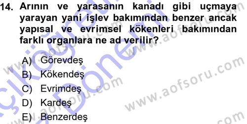 Sosyal Antropoloji Dersi Ara Sınavı Deneme Sınav Soruları 14. Soru