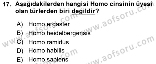 Sosyal Antropoloji Dersi Ara Sınavı Deneme Sınav Soruları 17. Soru